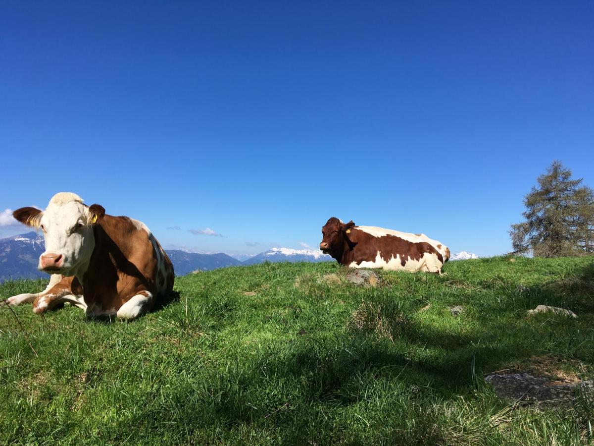 Appartement Brettljause Ferienhaus Fuenf Sinne Döbriach Buitenkant foto