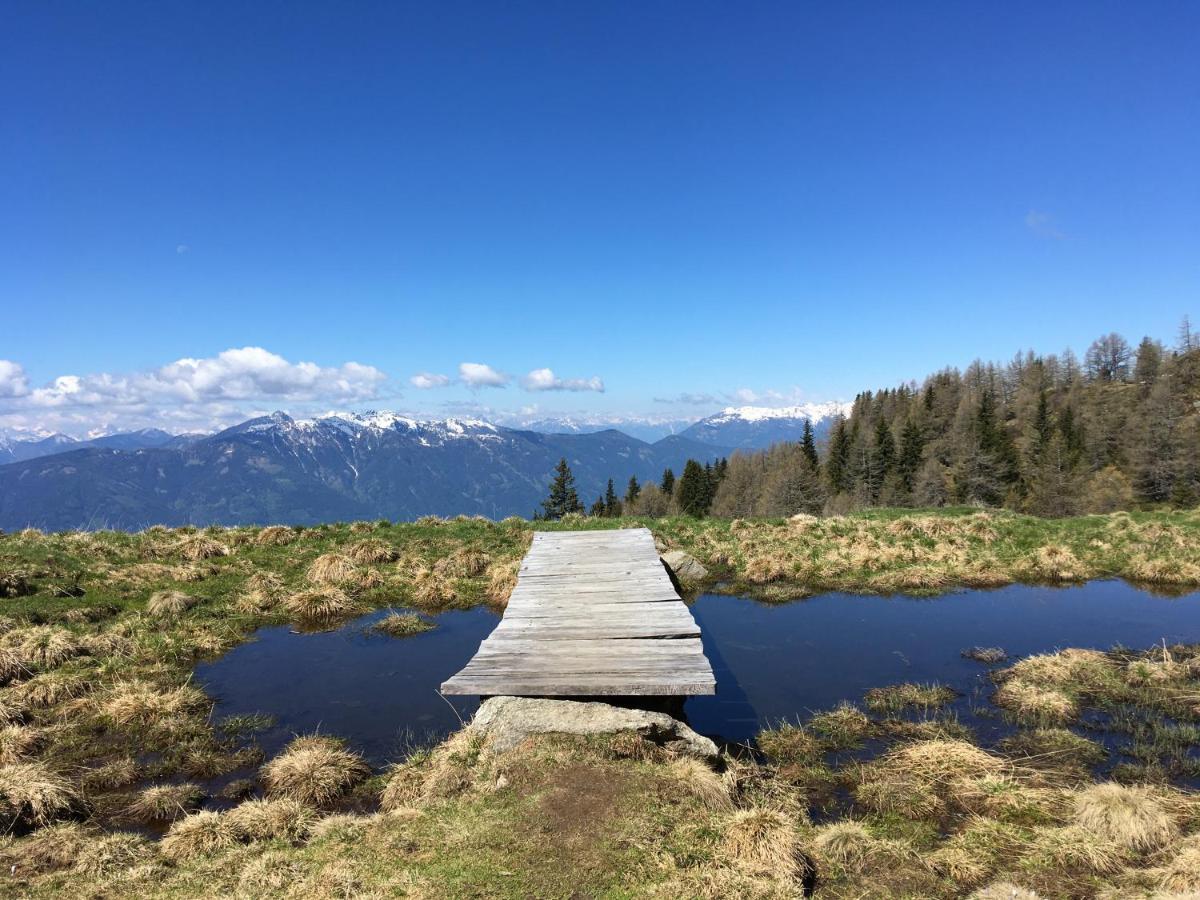 Appartement Brettljause Ferienhaus Fuenf Sinne Döbriach Buitenkant foto