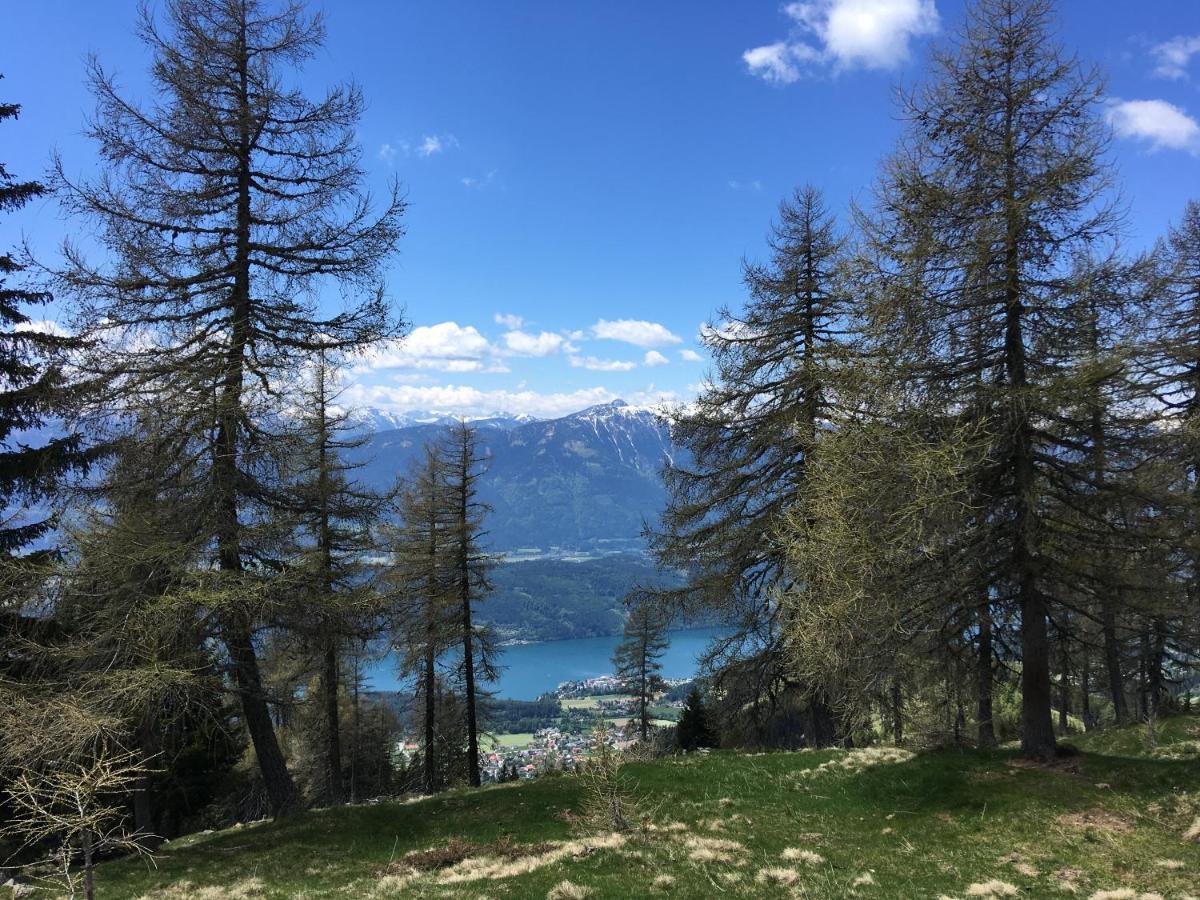 Appartement Brettljause Ferienhaus Fuenf Sinne Döbriach Buitenkant foto